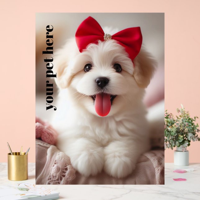 Custom Acrylic Sign (Wedding)