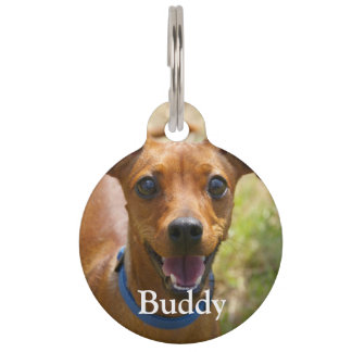 Custom add your favourite pet dog photo and detail tag