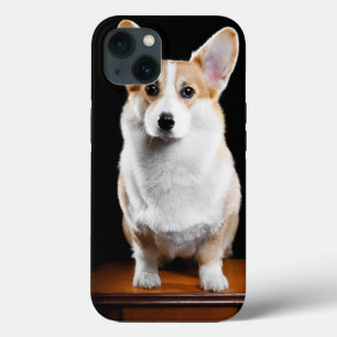 Custom Add Your Pet Photo iPhone 13 Case