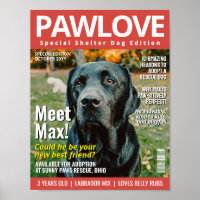 Custom Adopt a Pet Magazine Cover, Animal Shelter
