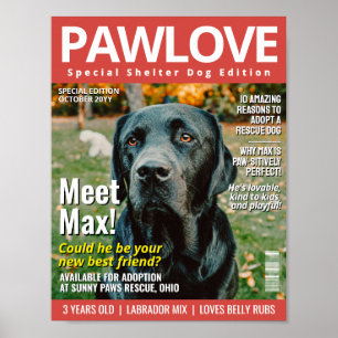Custom Adopt a Pet Magazine Cover, Animal Shelter Poster