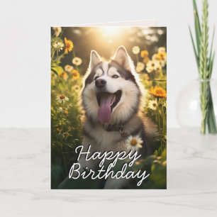 Custom Alaskan Malamute Birthday Card