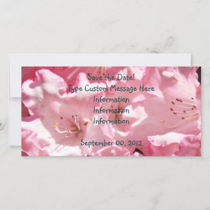 Custom Announcement Save the Date Photo Cards