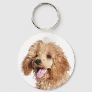 Custom Apricot Poodle Puppy Dog Love Key Chain
