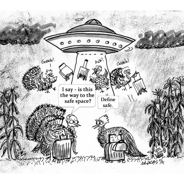 Custom apron design with a house (Published cartoon for the Charleston Mercury)