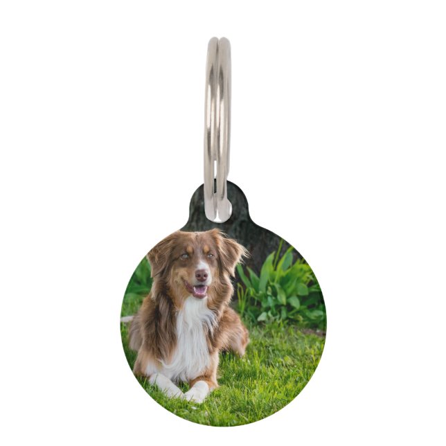 Custom Australian Shepherd Dog Pet Photo Tag (Front)