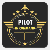 Custom Aviation Pilot Mug Design – Fully Editable