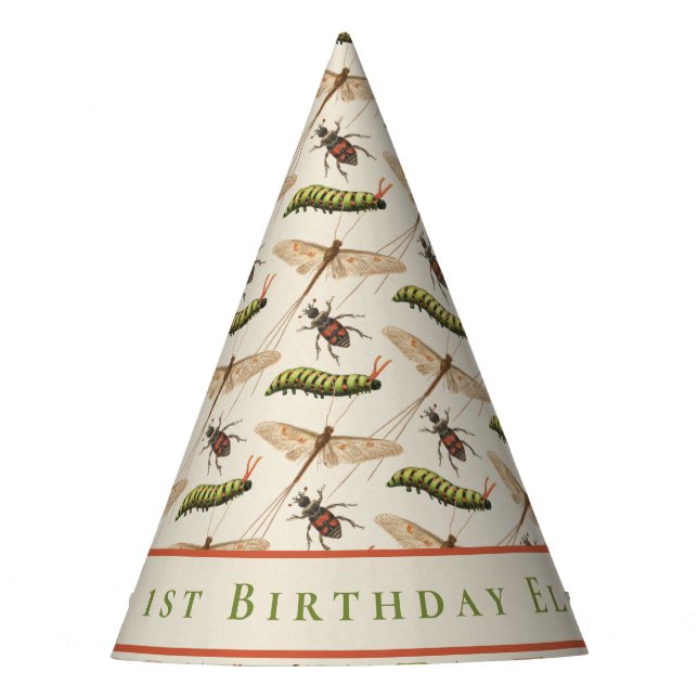 Custom Baby's First Birthday Fun Bug Pattern   Party Hat (Front)