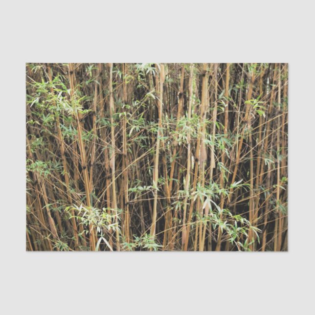 Custom Bamboo Jungle Tissue Paper (Front)