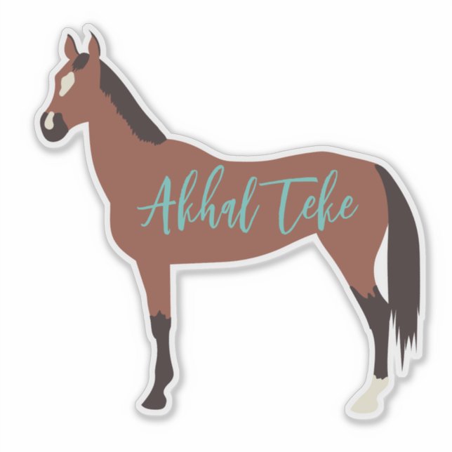 Custom Bay Akhal Teke Horse Silhouette (Front)