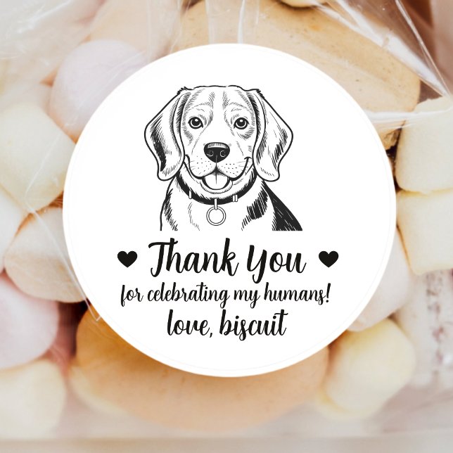Custom Beagle Dog Wedding Favour Stickers (Creator Uploaded)