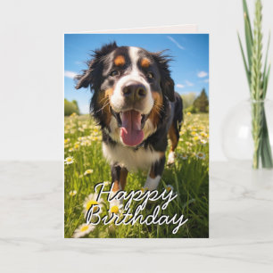 Custom Bernese Mountain Dog Happy Birthday Card