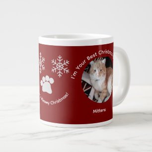Custom Best Christmas Gift Cat Photo Specialty Mug