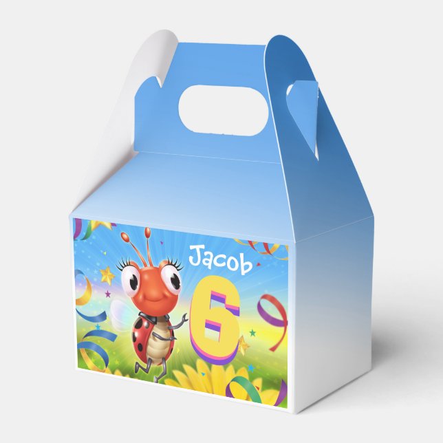 Custom Birthday Party box boy 6 yrs Lil’ Ladybug (Front Side)