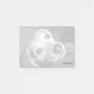 Custom Black & White Pet Photo Modern Trendy Post-it Notes