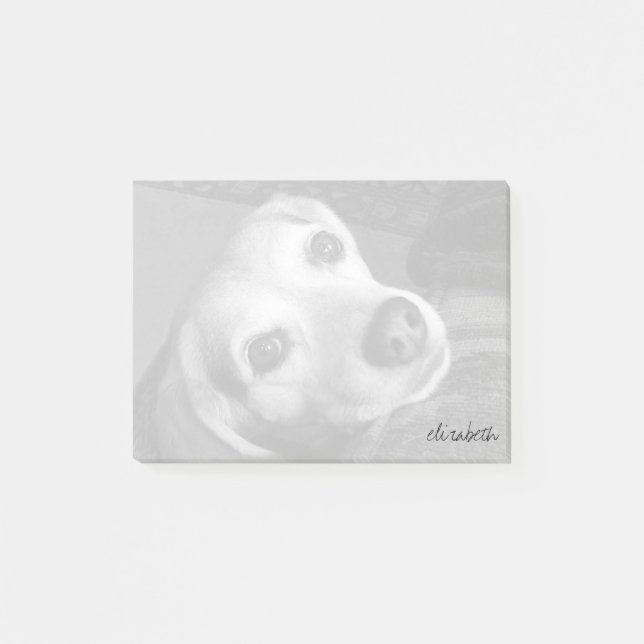 Custom Black & White Pet Photo Modern Trendy Post-it Notes (Front)