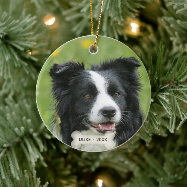 Custom Border Collie Dog Photo Ceramic Tree Decoration (Tree)
