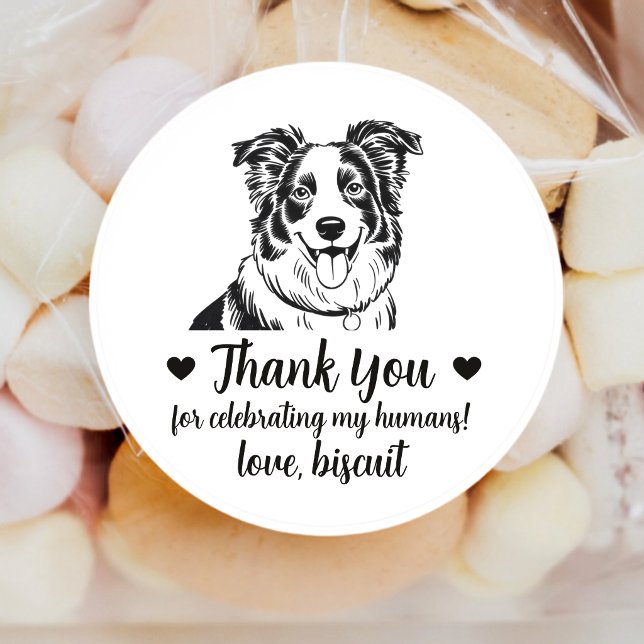 Custom Border Collie Dog Wedding Favour Stickers (Creator Uploaded)