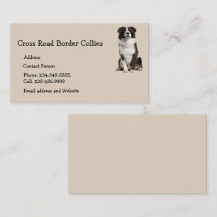 Custom Border Collies Dog Pet Animal Logo Business Card