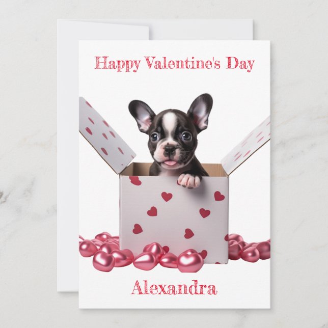 Custom Boston Terrier Box Pink Hearts Valentine Holiday Card (Front)