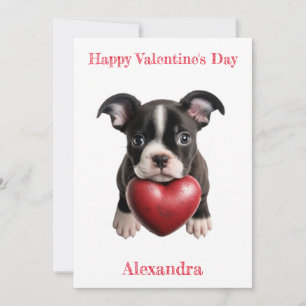 Custom Boston Terrier Pup with a Heart Valentine Holiday Card