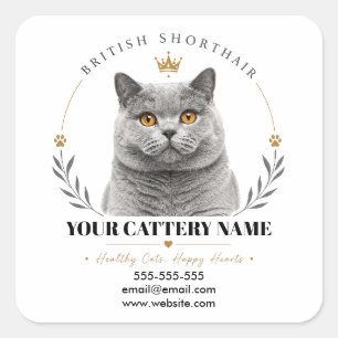 Custom British Shorthair Cattery Logo Contact Square Sticker