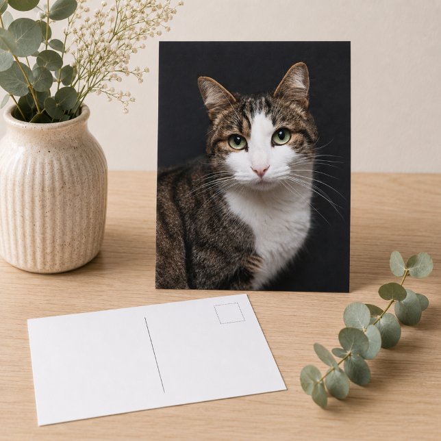Custom Brown Tabby Cat Single Pet Photo Postcard (Replace with your own pet photo,  add text using the design tool, if you wish)