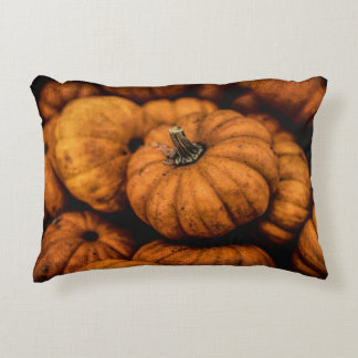 Custom Brushed Polyester Accent Pillow 16" x 12"