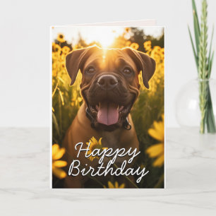 Custom Bull Mastiff Birthday Card