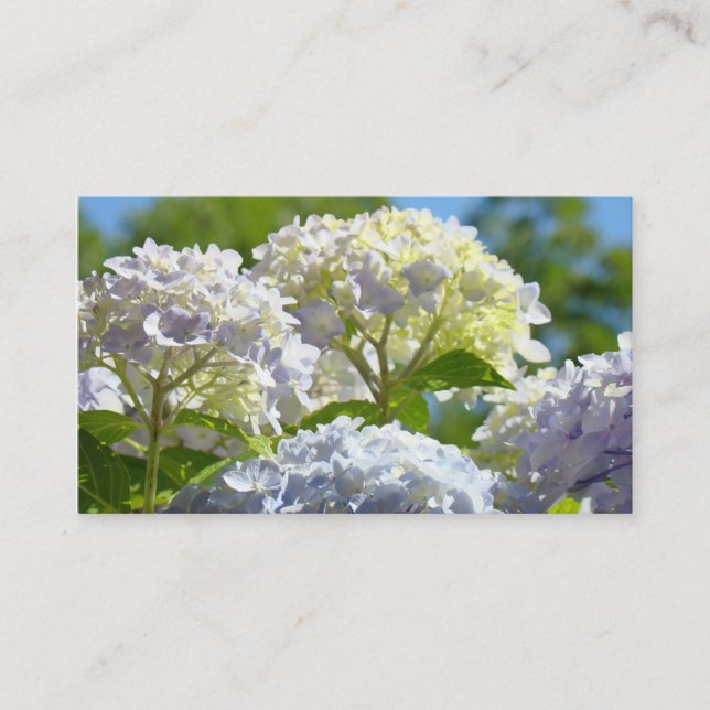 Custom Business Cards Blue Hydranges Flowers (Front)