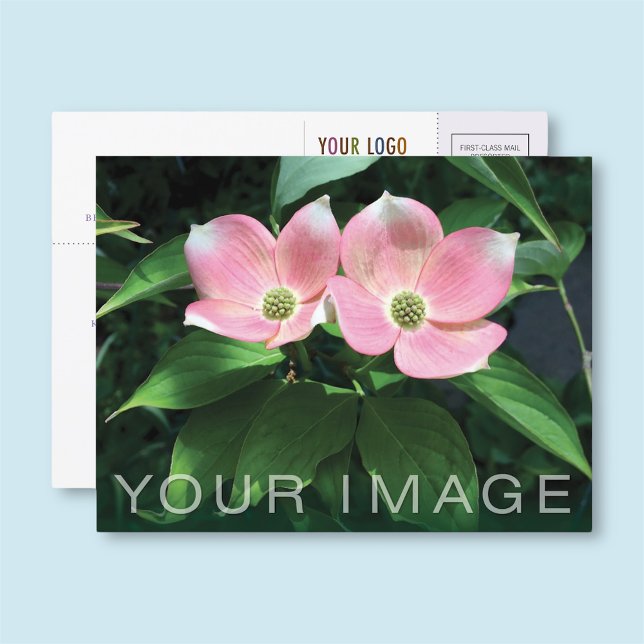 Custom Business Postcard with Company Logo & Photo (MISOOK Business Postcard with Photo and Logo)