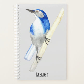 Custom California Scrub Jay Planner