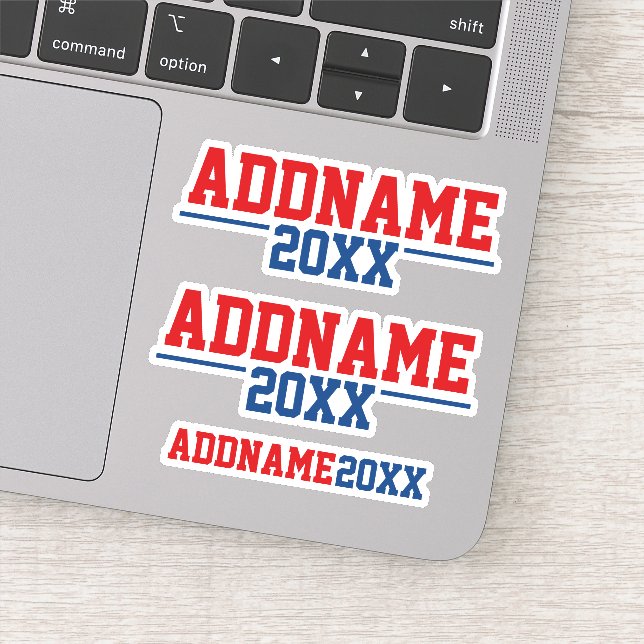 Custom Campaign - Classic Red Blue with Year (Detail)