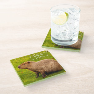 Custom Capybara Glass Coaster