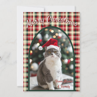 Custom Cat Christmas Holiday Card