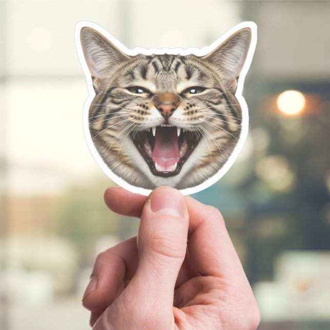 Custom Cat Face Sticker – Funny Personalised Photo (Creator Uploaded)