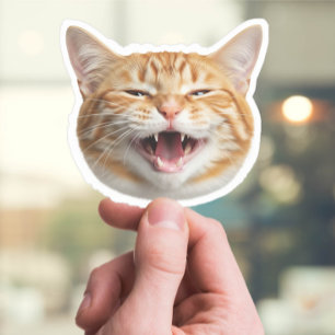 Custom Cat Face Sticker – Personalized Pet Photo