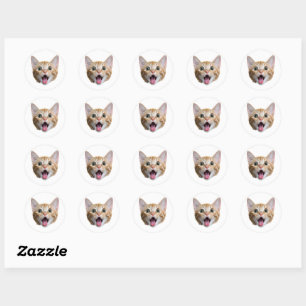 Custom Cat Face Stickers Personalised Face Photo