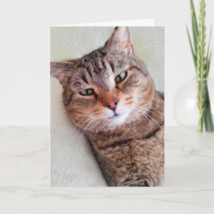 Custom Cat Miss You A Lot Card