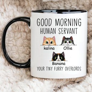 Custom Cat Owner, Good Morning Cat Human Servant Mug
