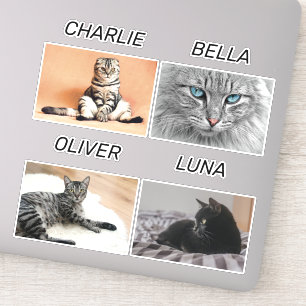 Custom Cat Photo and Cat Name Personalised Pet 