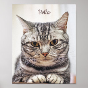 Custom Cat Photo And Name Poster