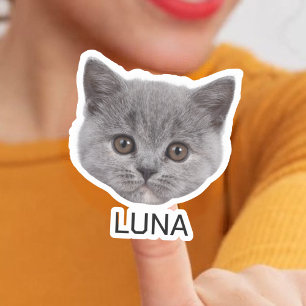 Custom Cat Photo Face