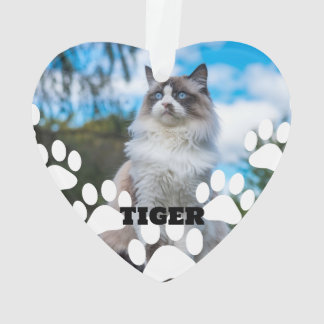 Custom Cat Photo Heart Acrylic Ornament with Name