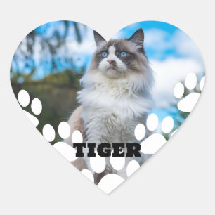 Custom Cat Photo Heart Sticker with Name