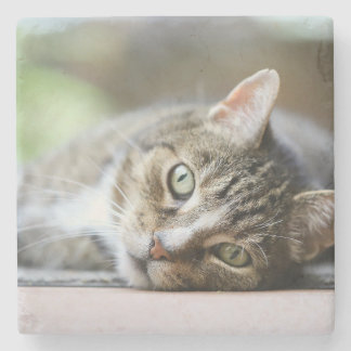 Custom Cat Photo Pet Lover Gift Stone Coaster