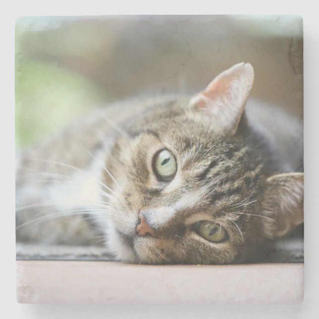 Custom Cat Photo Pet Lover Gift Stone Coaster (Front)