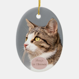 Custom Cat photo pet ornament