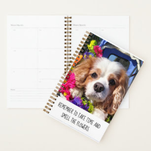 Custom Cavalier Dog Planner