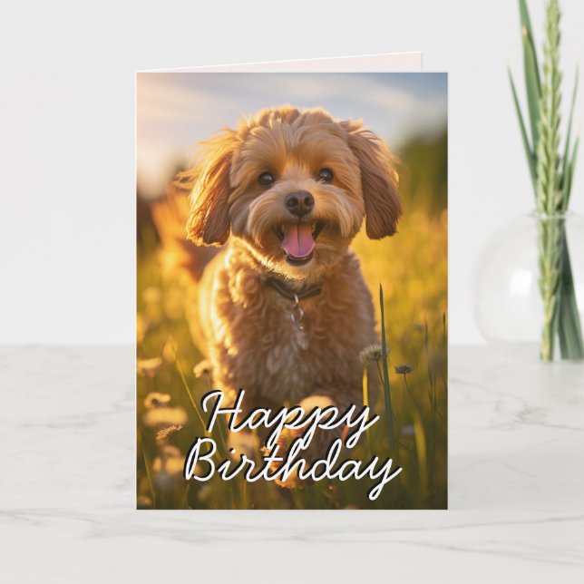 Custom Cavoodle/Cavapoo Happy Birthday Card (Front)